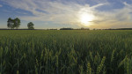 _IGP2057_DxO_1
