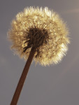 _IGP8848_DxO_3