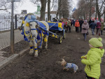 Привет, моська!