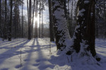 _IGP5599_DxO_2