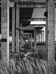 _IGP7779_DxO_3