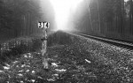 Километр Пи * 2