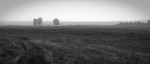 _IGP7960_DxO_3