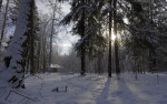 _IGP5629_DxO_2