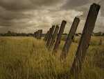 _IGP7722_DxO_3