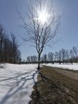 _IGP2548_DxO