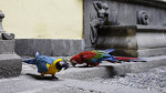 _IGP1897_DxO