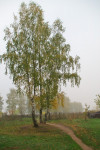 SG206194