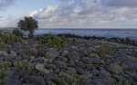 _IGP4045_DxO_2