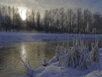 _IGP5245_DxO_2