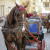 _IGP6250_DxO_1