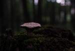 _IGP6705