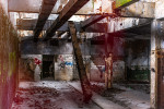 ART_0957_l