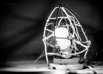 DSC_2415_web
