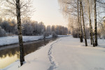 DSC02461-4_min