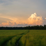 _DSC0838_min1