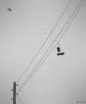 DSC04933-2_min