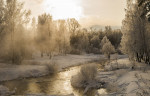 DSC02609-3_min
