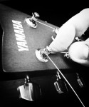 Dreadnought guitar D'Addario strings