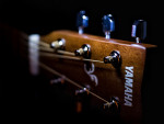 Dreadnought guitar