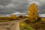 IMG_5852-3