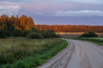 Дорога в вечер
