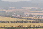IMG_8175
